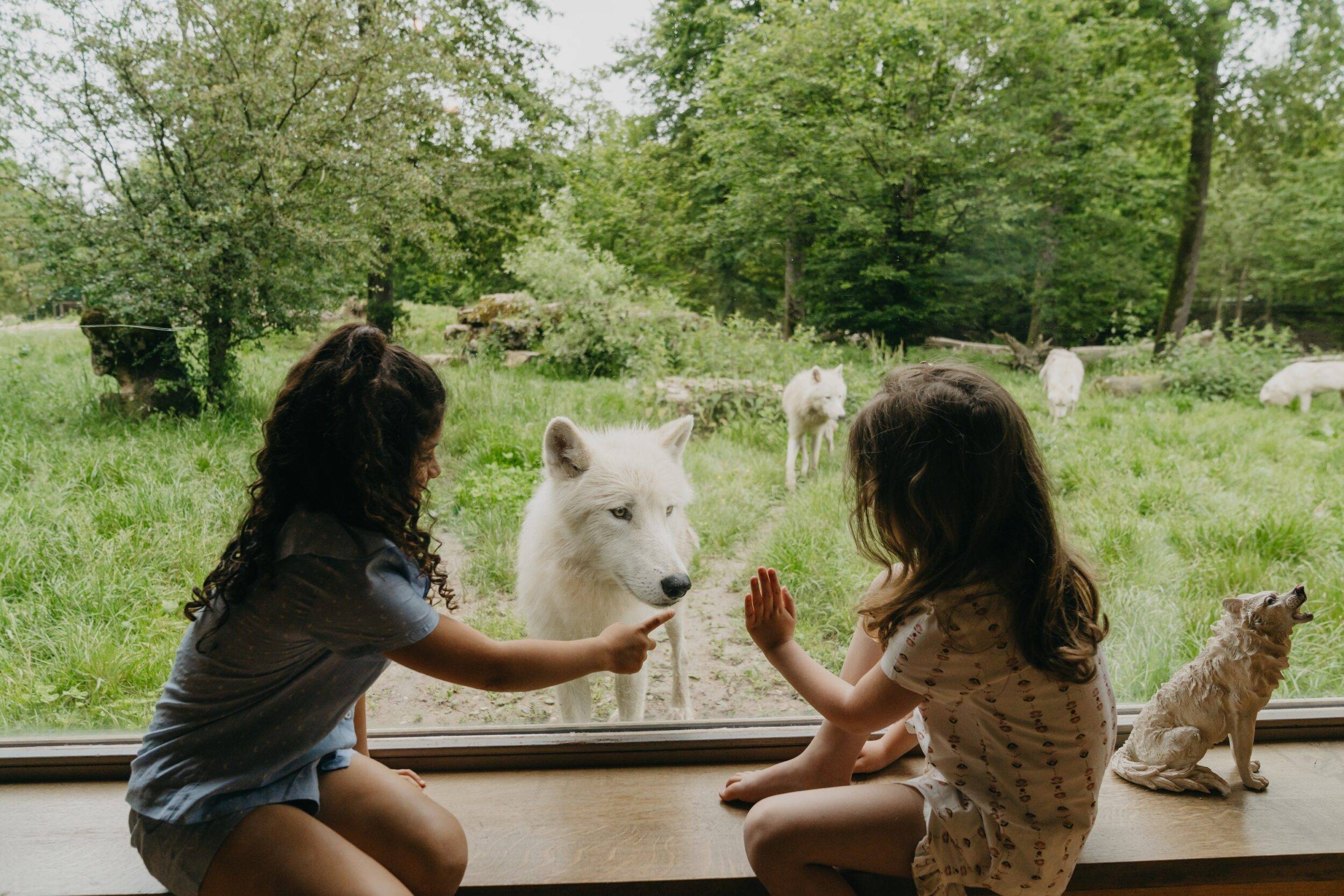 © Parc Sainte-Croix