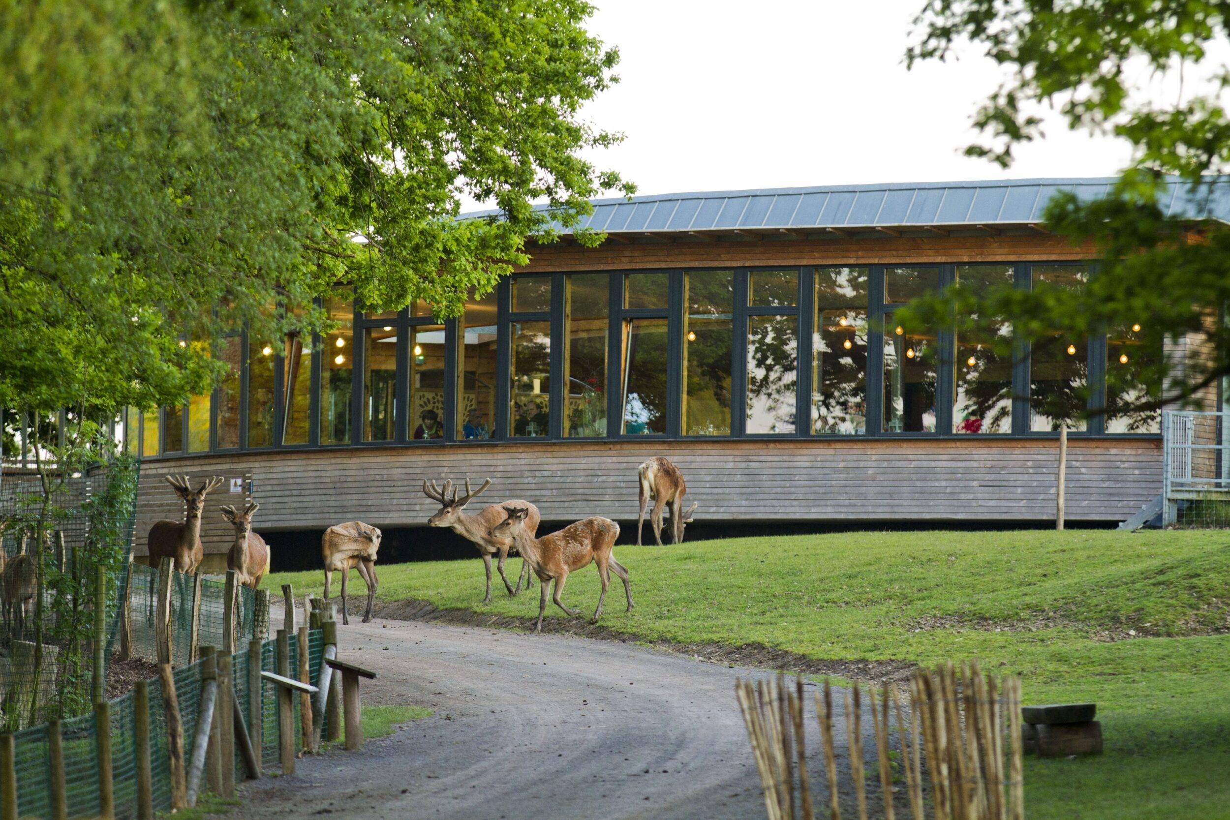 © Parc Sainte-Croix