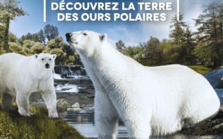 © Zoo de la Flèche