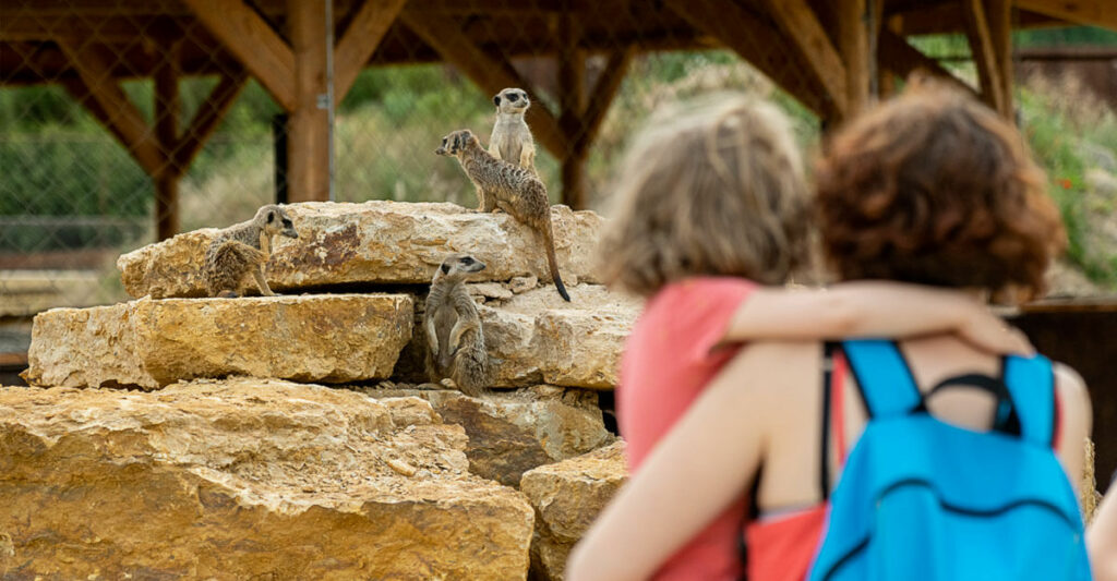 © Bioparc Zoo de Doué-la-Fontaine