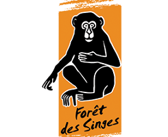 © Forêt des Singes