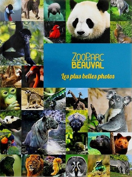 ZooParc de Beauval - Les plus belles photos - Nature et Zoo