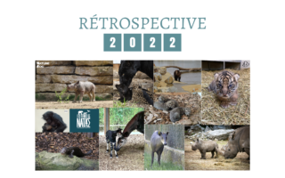 Rétrospective 2022 - © Nature et Zoo