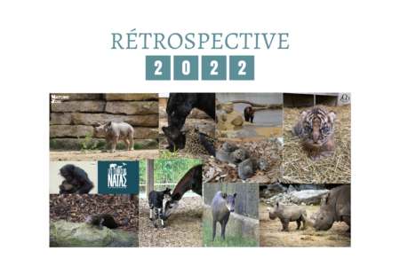 Rétrospective 2022 - © Nature et Zoo