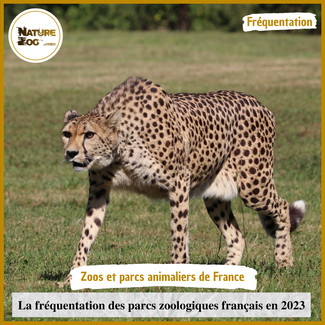 © Nature et Zoo - Fréquentation zoos 2023