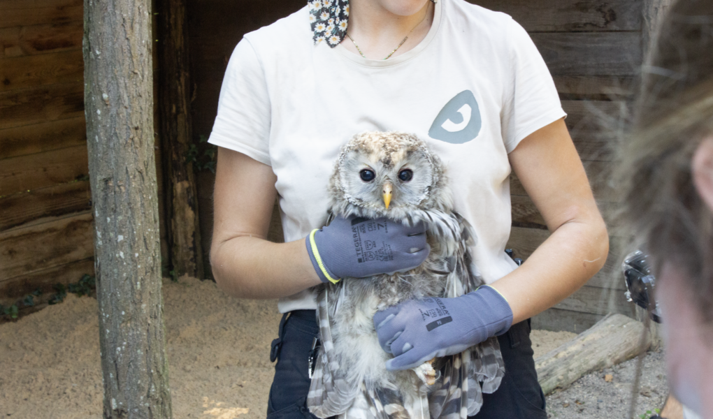 © E. Steffan - Parc Sainte-Croix