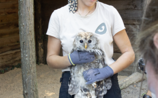 © E. Steffan - Parc Sainte-Croix