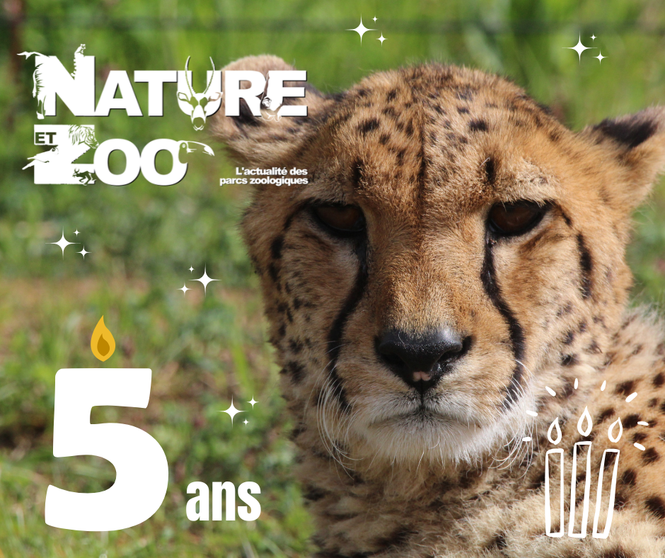 © Nature et Zoo