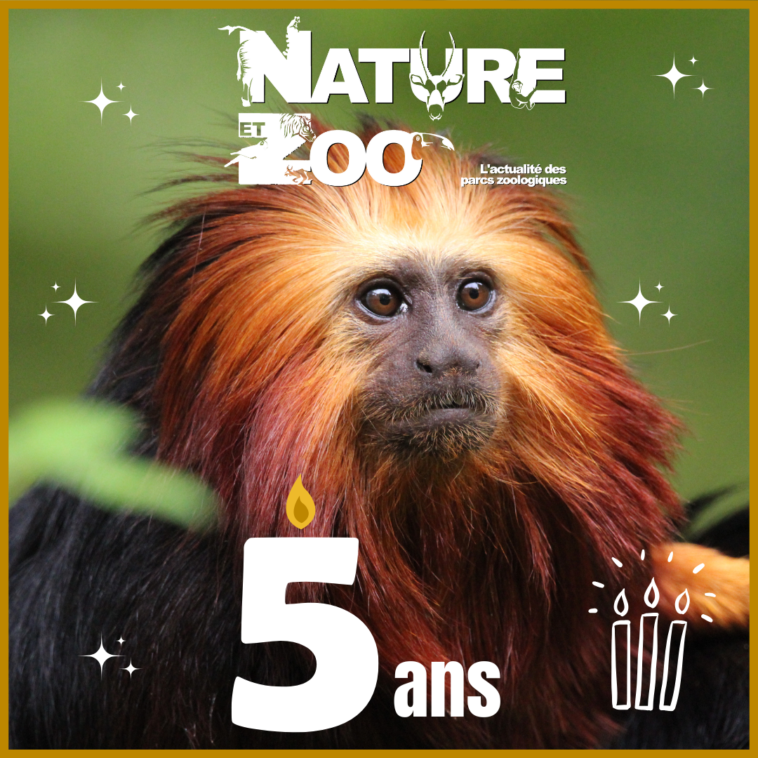 © Nature et Zoo