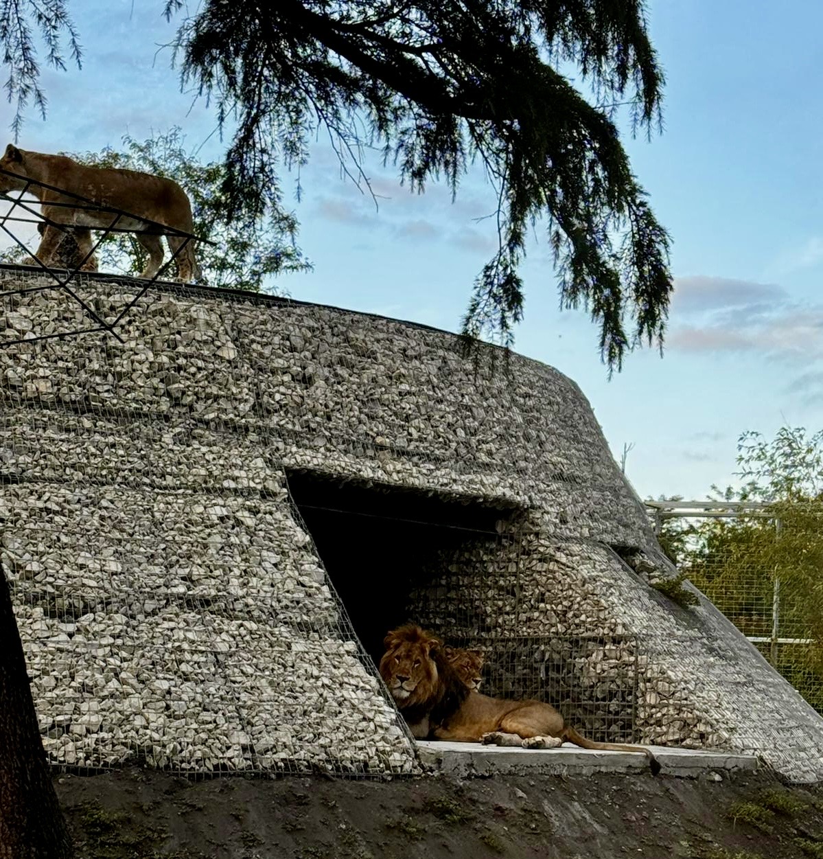 © Zoo de Bordeaux-Pessac