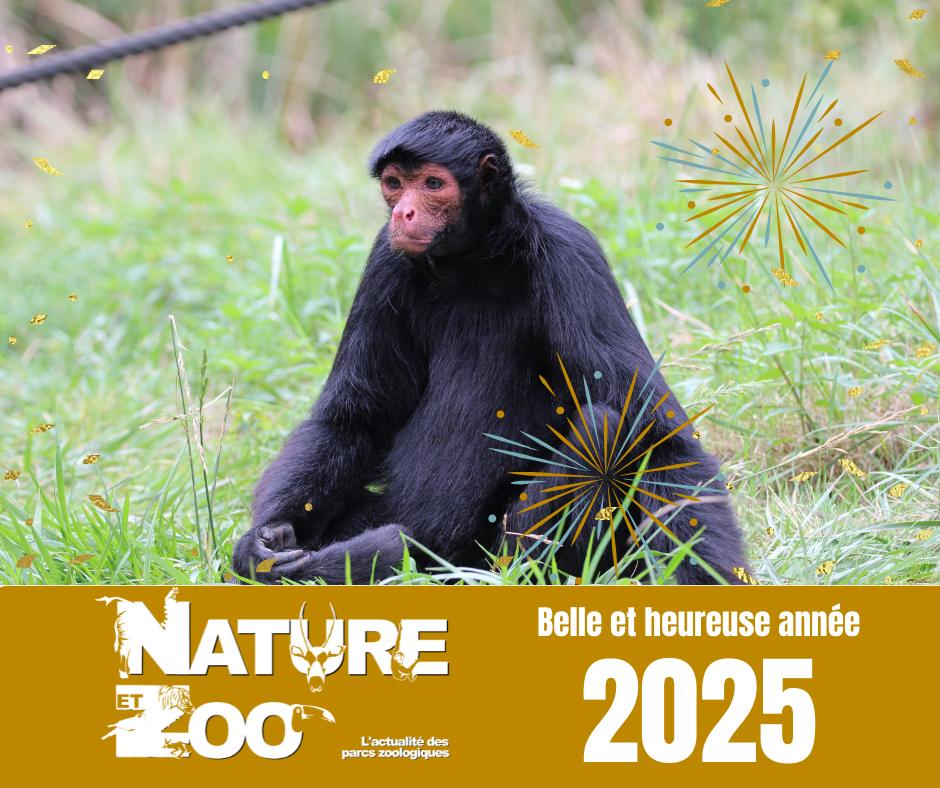 © Nature et Zoo