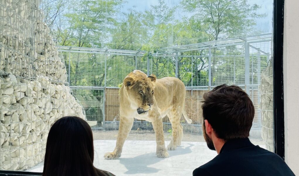 © Zoo de Bordeaux-Pessac