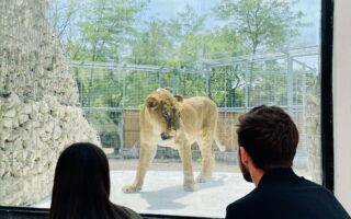 © Zoo de Bordeaux-Pessac