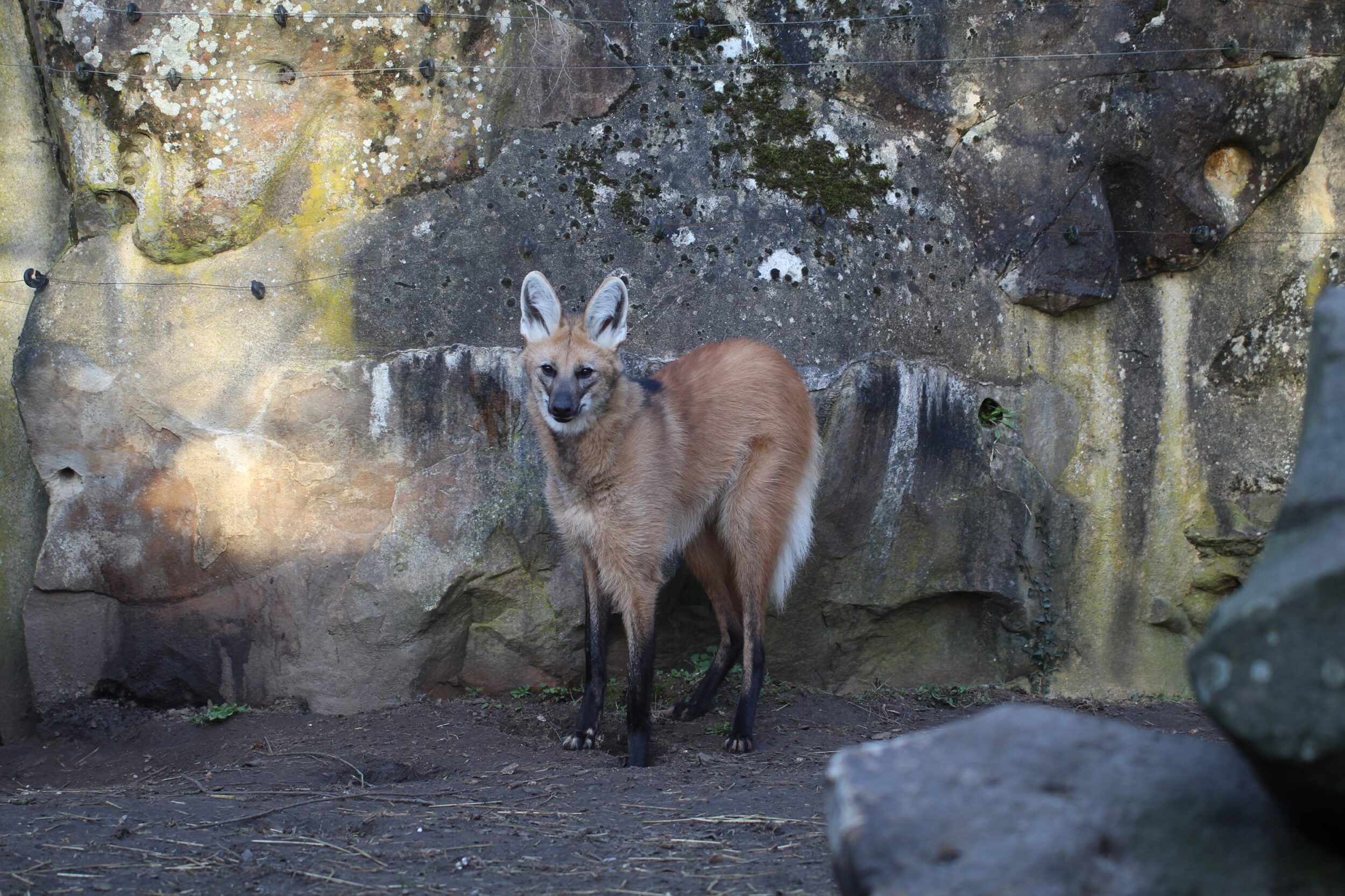 © Nature et Zoo