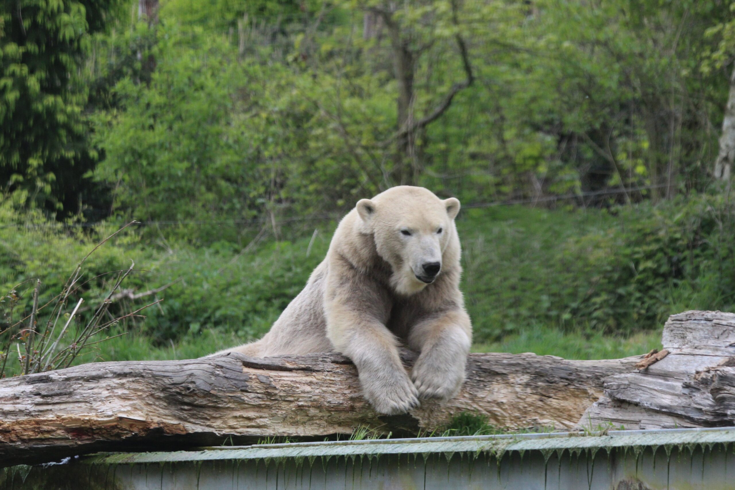 © Nature et Zoo