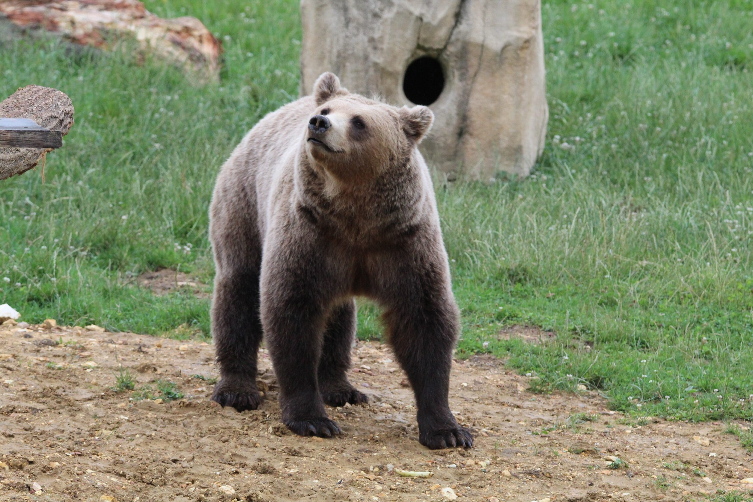 © Nature et Zoo