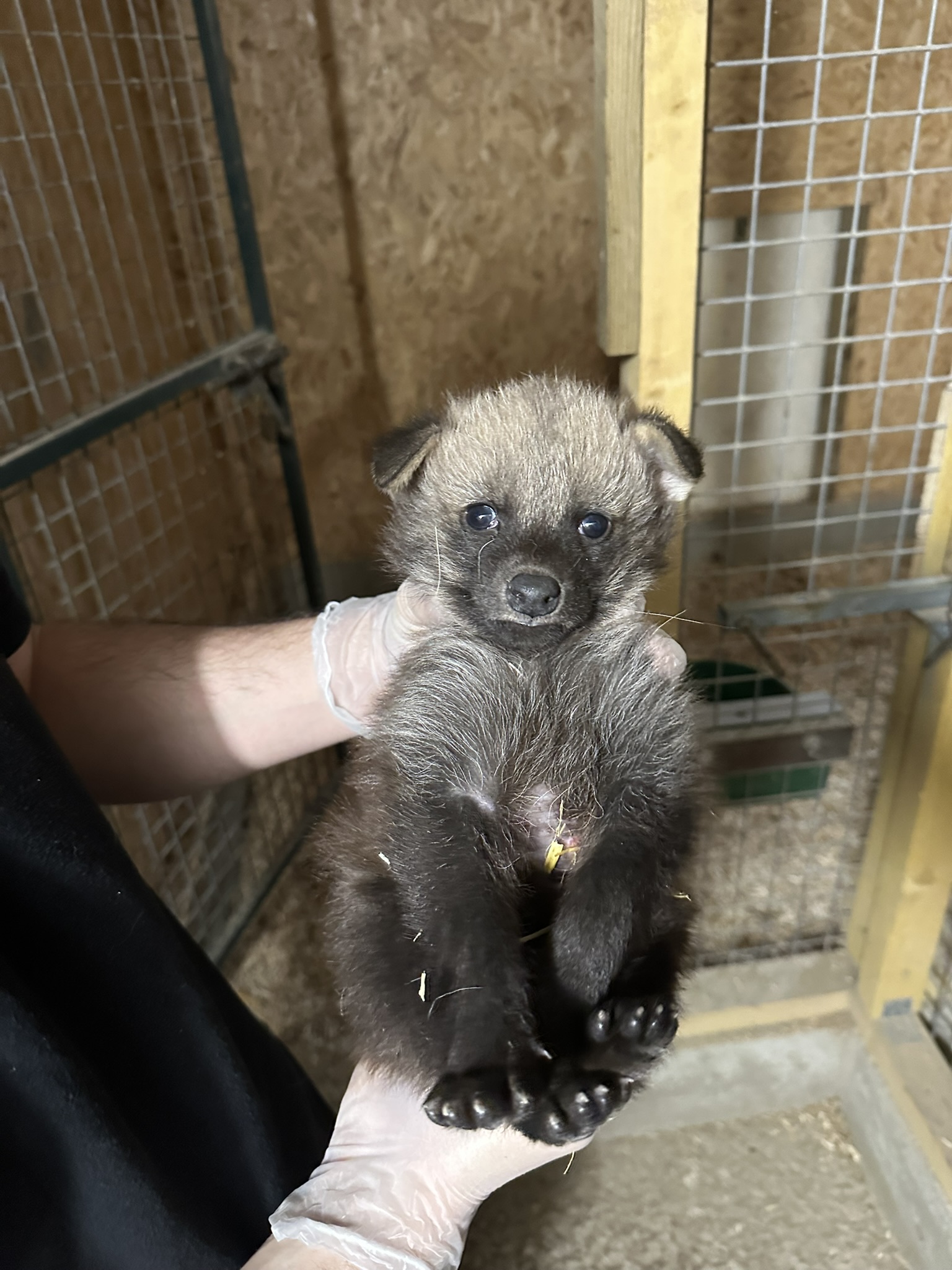 © Zoo de Jurques