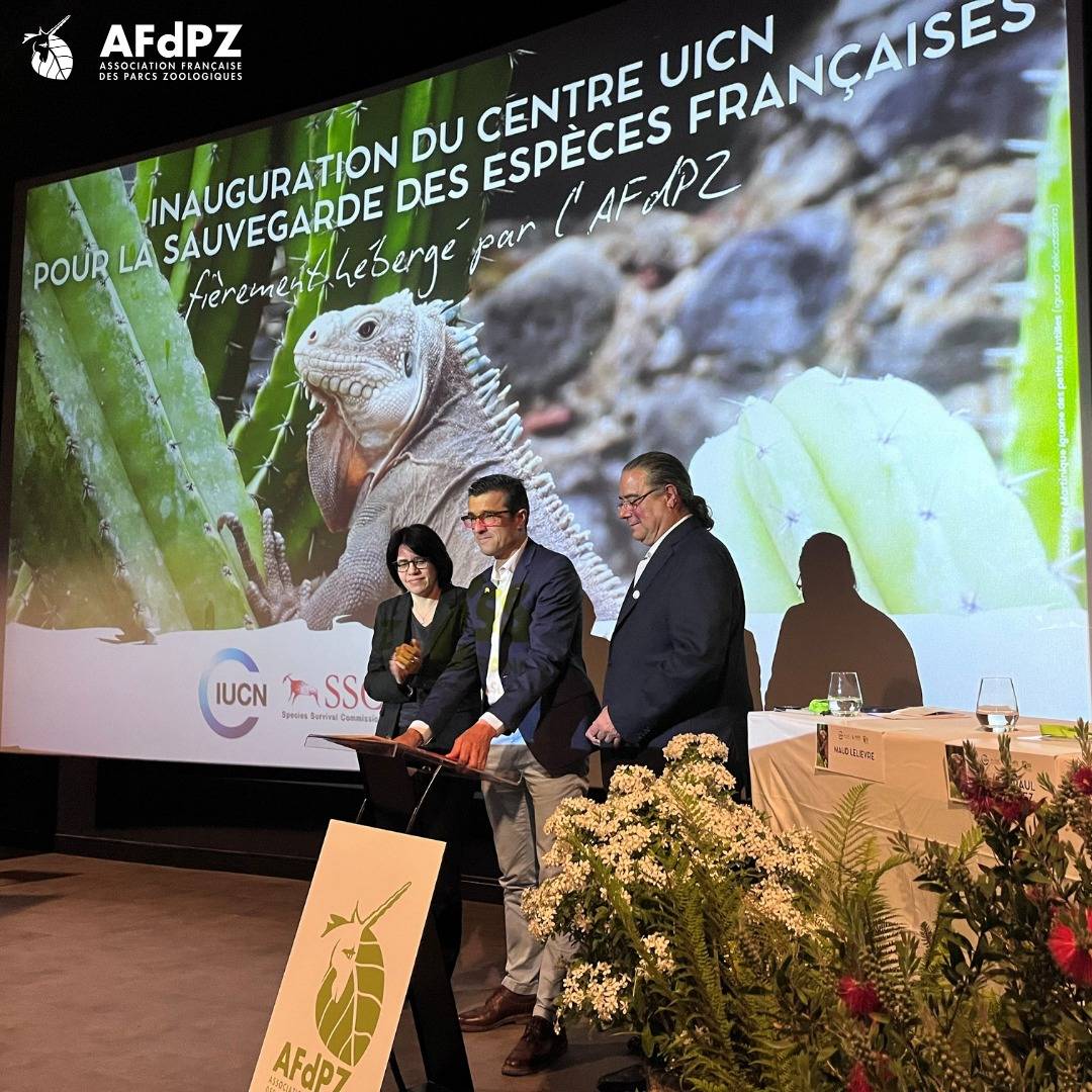 © AFdPZ