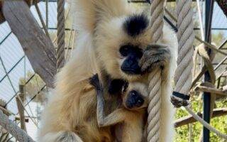 © Parc animalier de La Barben