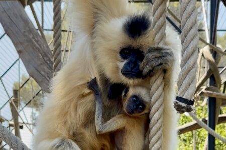 © Parc animalier de La Barben