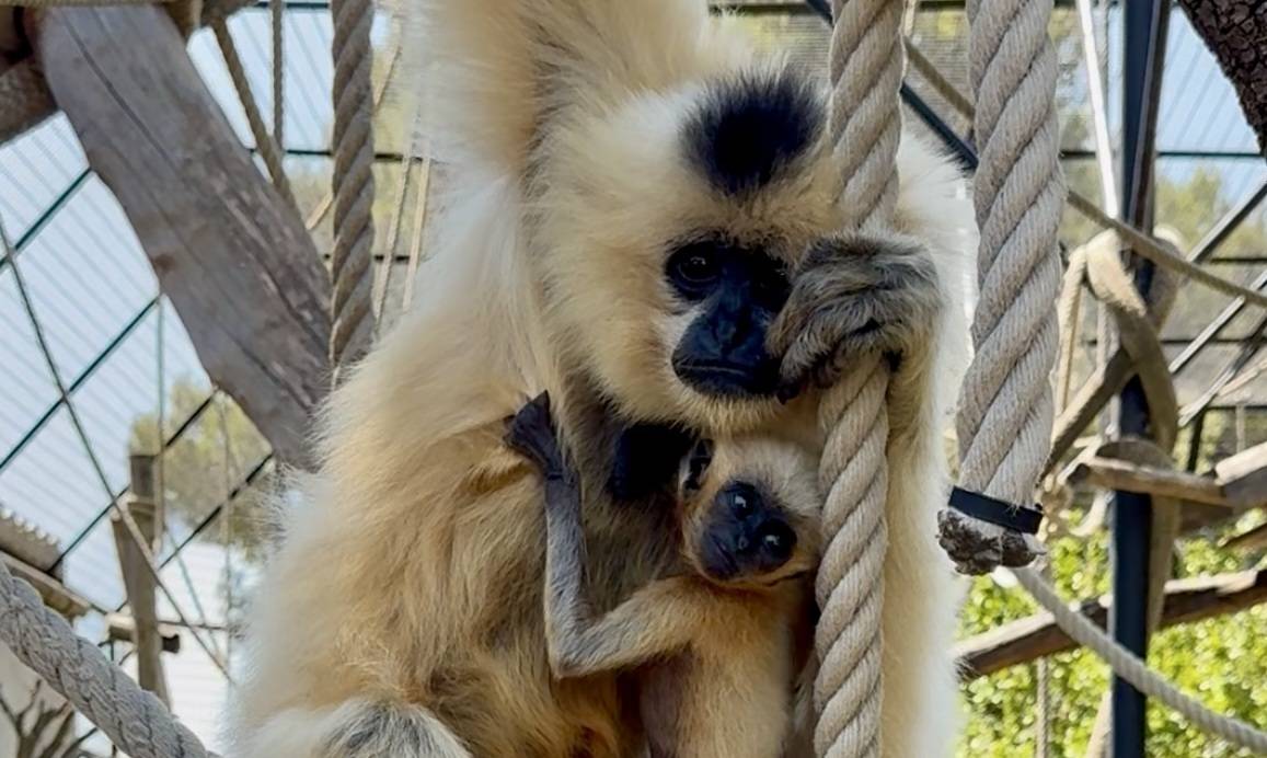 © Parc animalier de La Barben