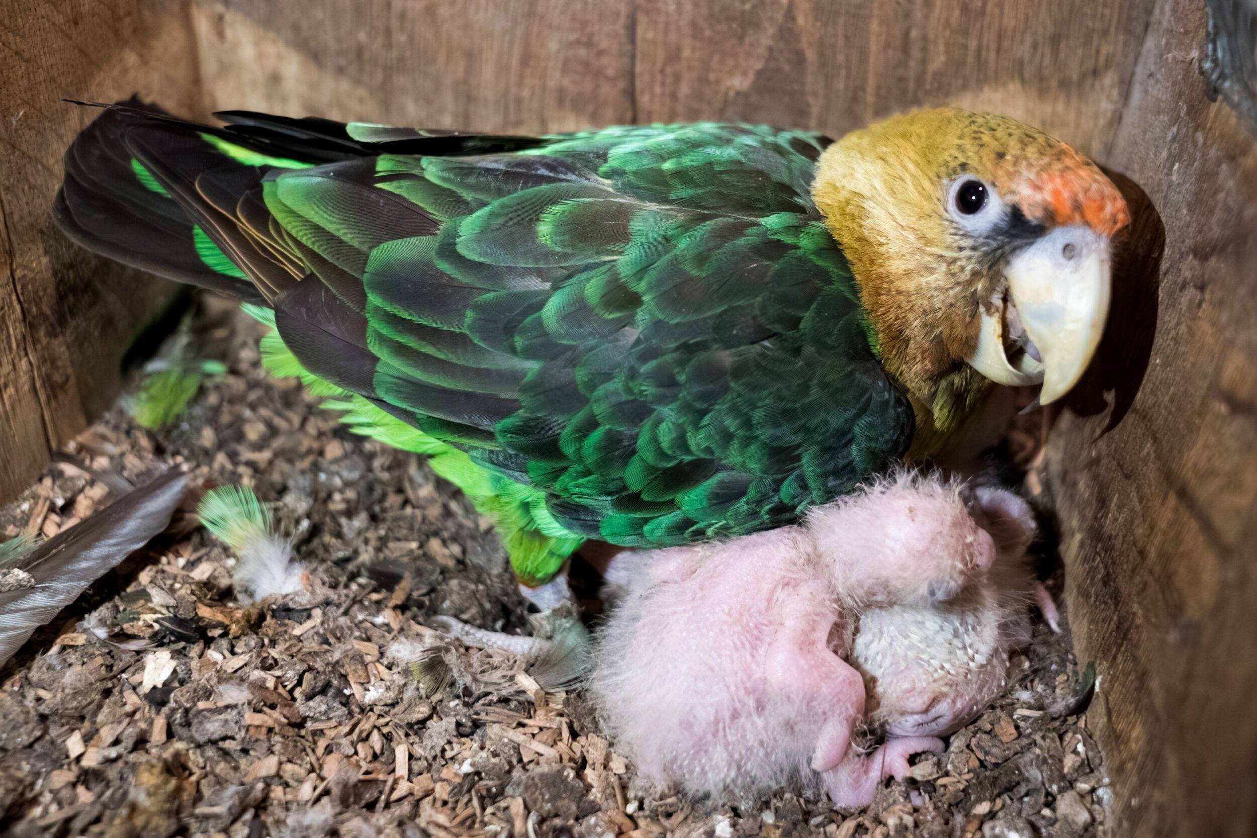 Mulhouse Alsace Agglomération - m2A/MN