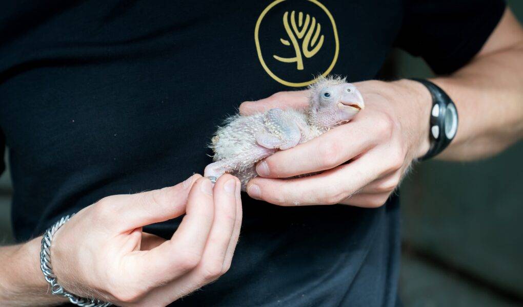 Mulhouse Alsace Agglomération - m2A/MN