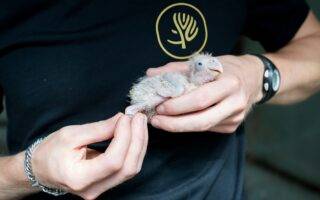 Mulhouse Alsace Agglomération - m2A/MN