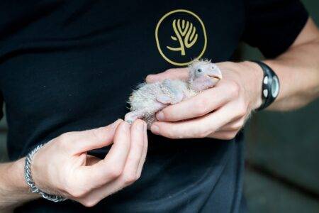 Mulhouse Alsace Agglomération - m2A/MN