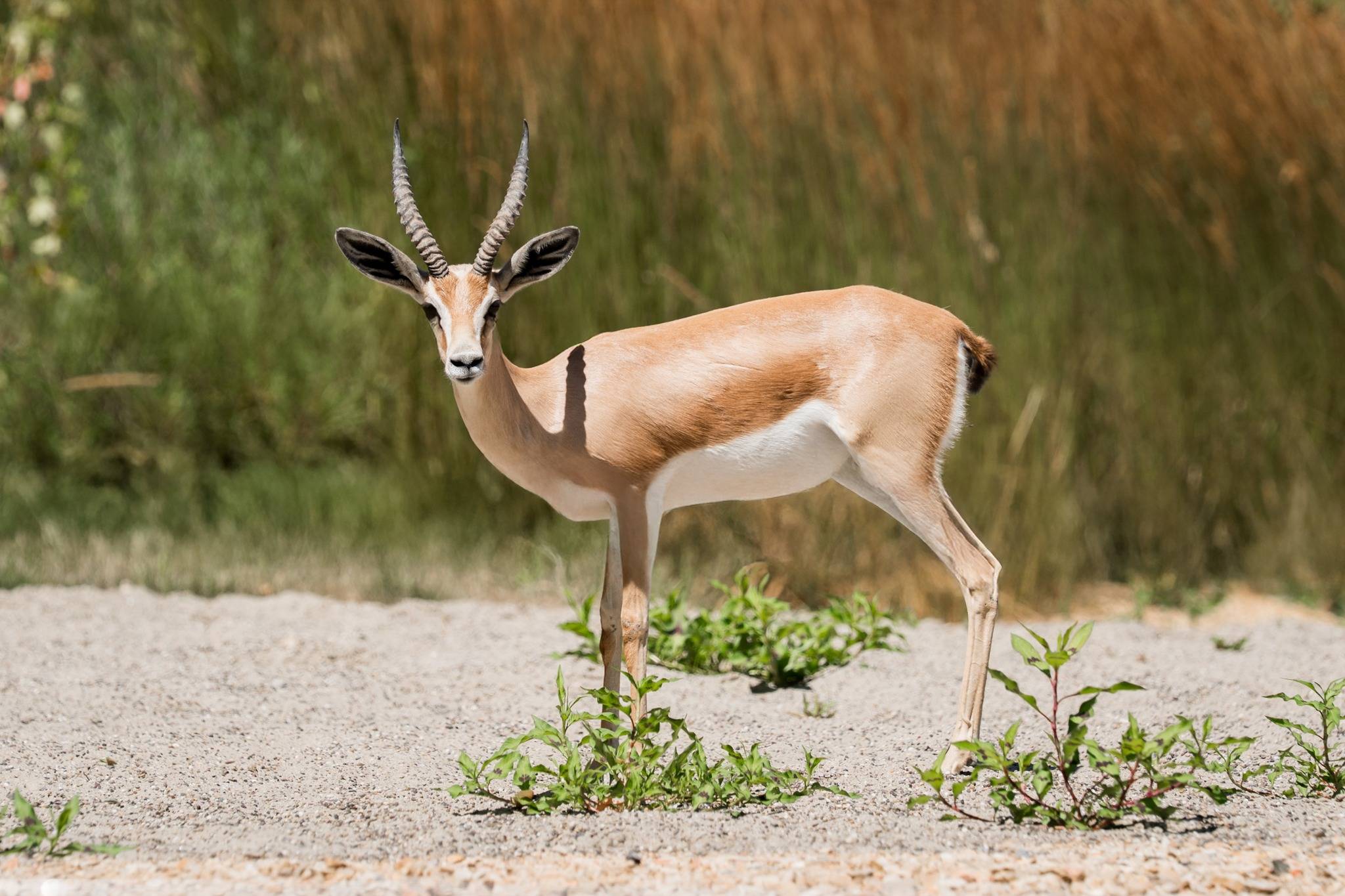 © Mulhouse Alsace Agglomération - m2A / Marie Nussbaumer