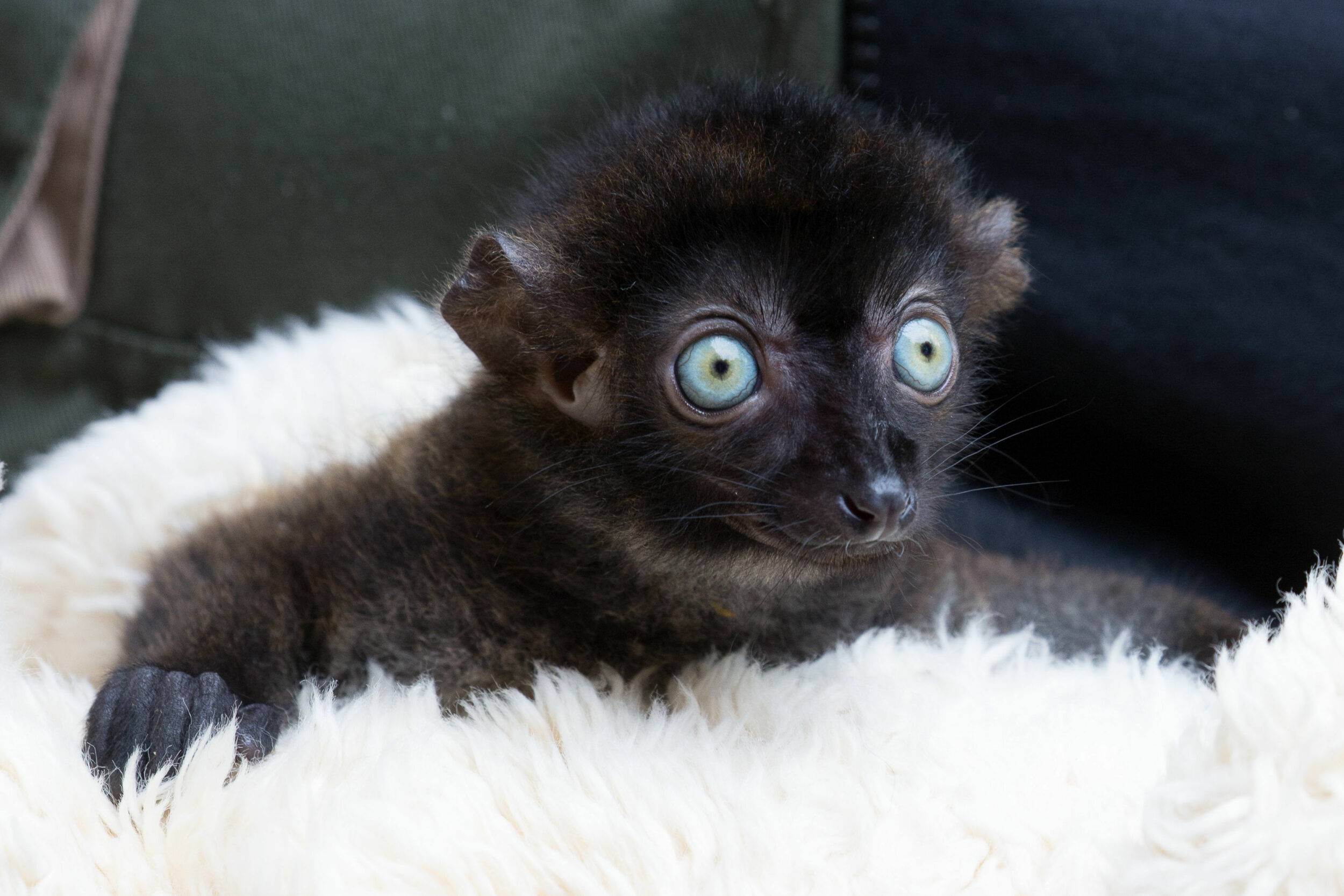 © Mulhouse Alsace Agglomération - m2A / Dominique Villiseck