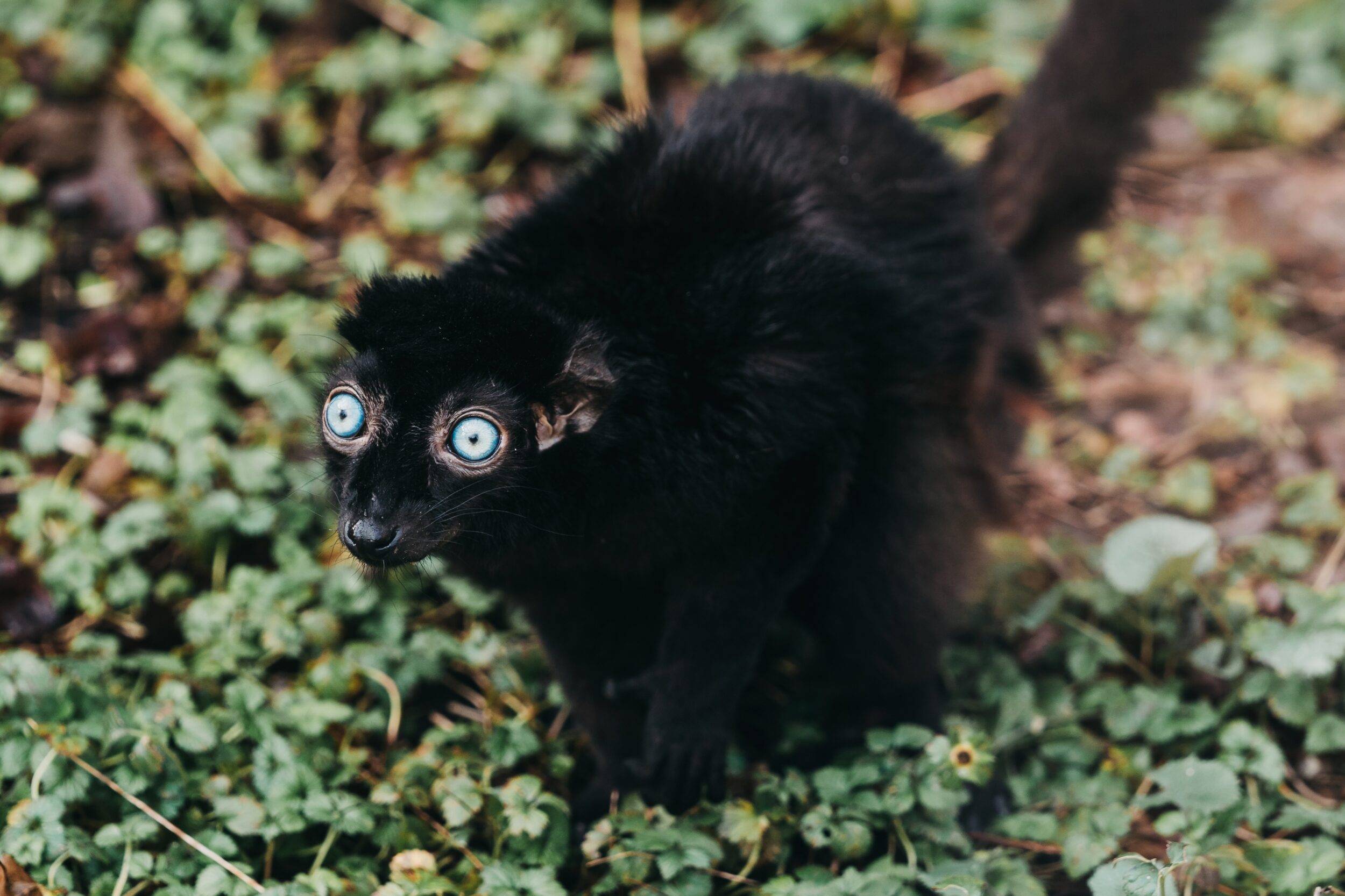 © Mulhouse Alsace Agglomération - m2A / Marie Nussbaumer