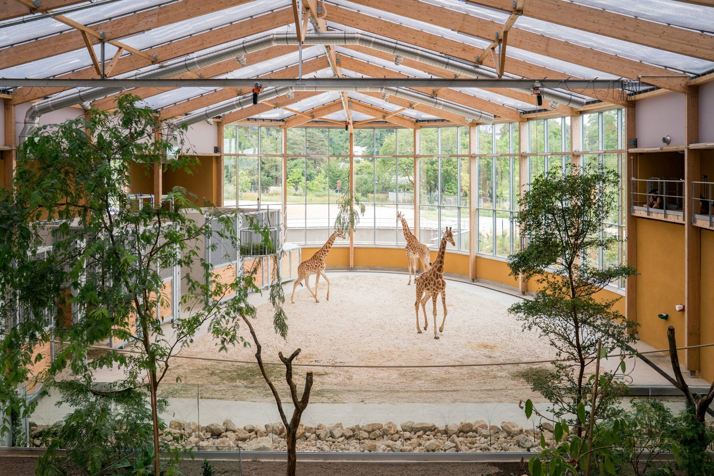 © Mulhouse Alsace Agglomération - m2A / Marie Nussbaumer