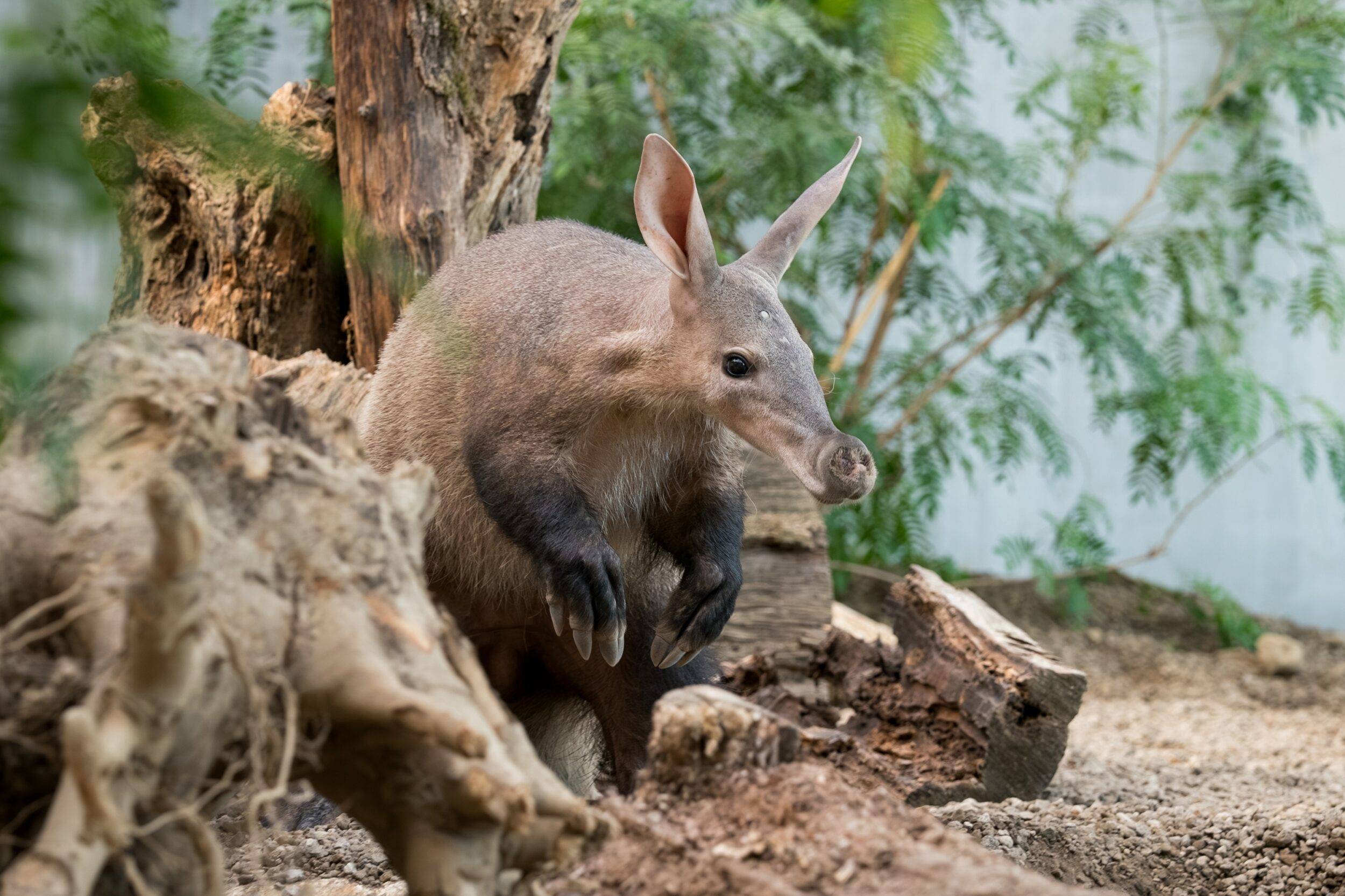 © Mulhouse Alsace Agglomération - m2A / Marie Nussbaumer