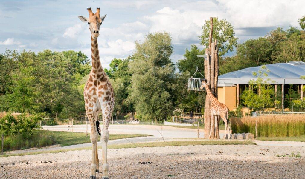 © Mulhouse Alsace Agglomération - m2A / Marie Nussbaumer