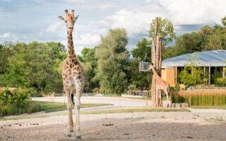 © Mulhouse Alsace Agglomération - m2A / Marie Nussbaumer