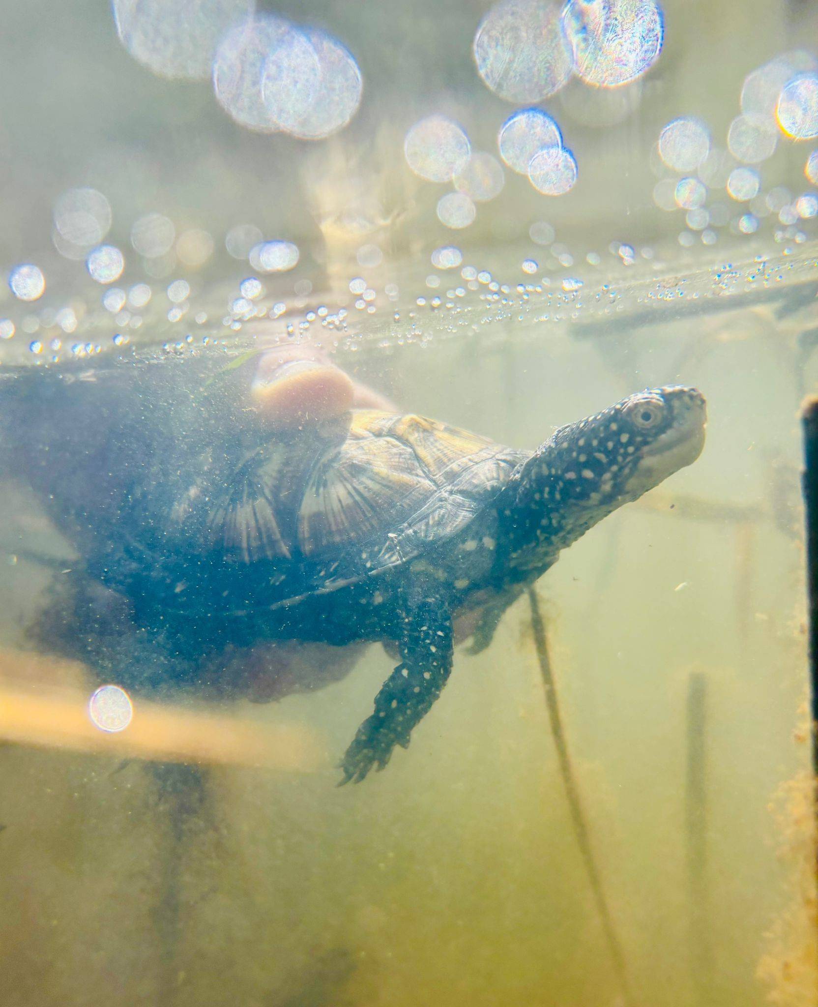 © m2A / Parc Zoologique & Botanique de Mulhouse