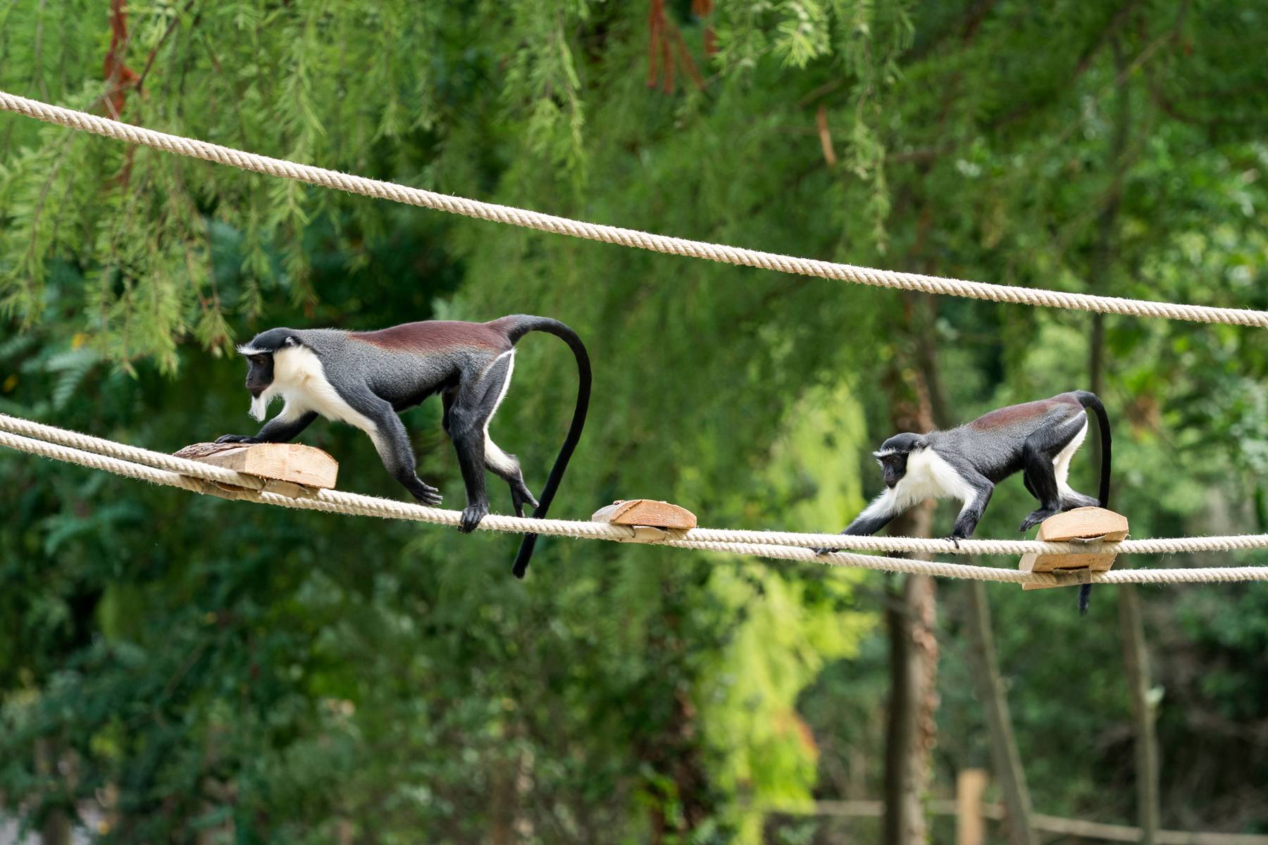 © Mulhouse Alsace Agglomération - m2A / Marie Nussbaumer