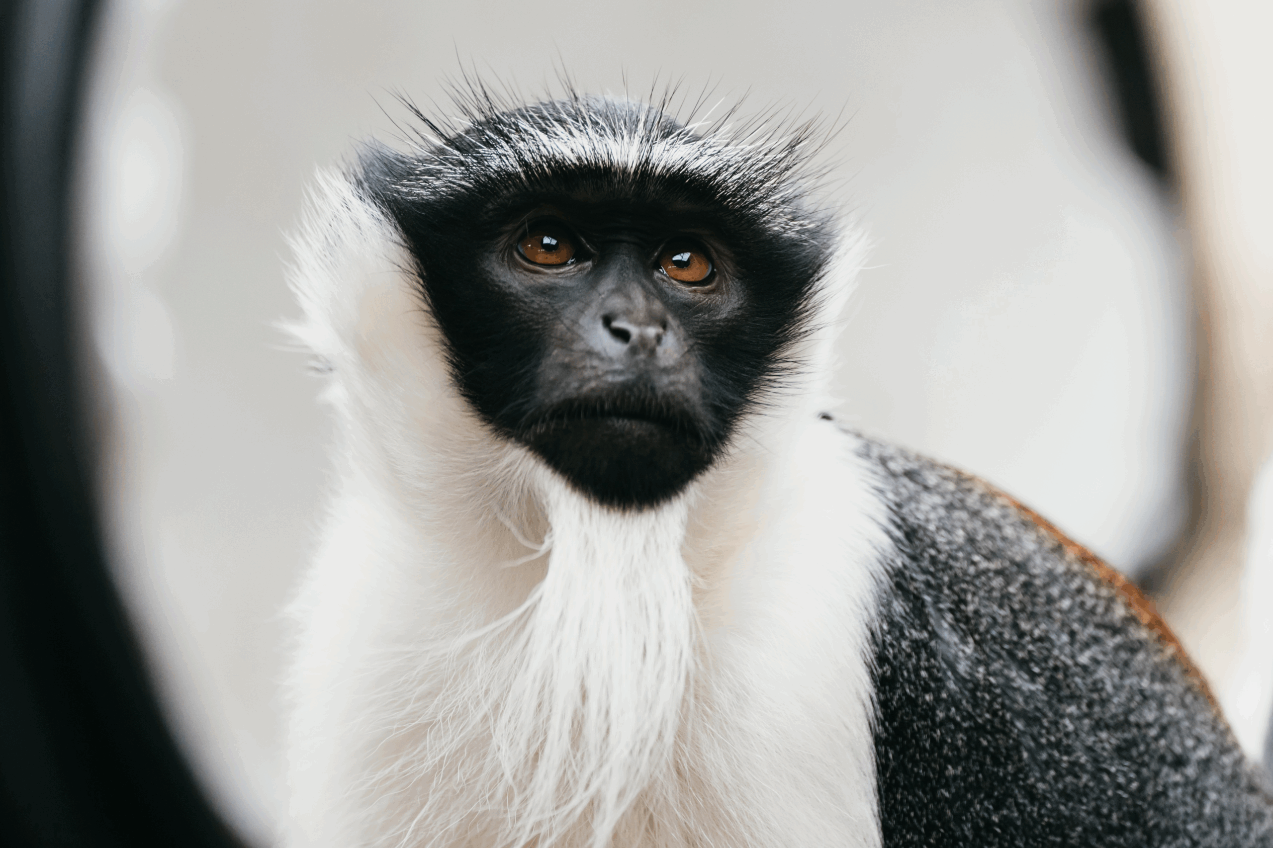 © Mulhouse Alsace Agglomération - m2A / Marie Nussbaumer