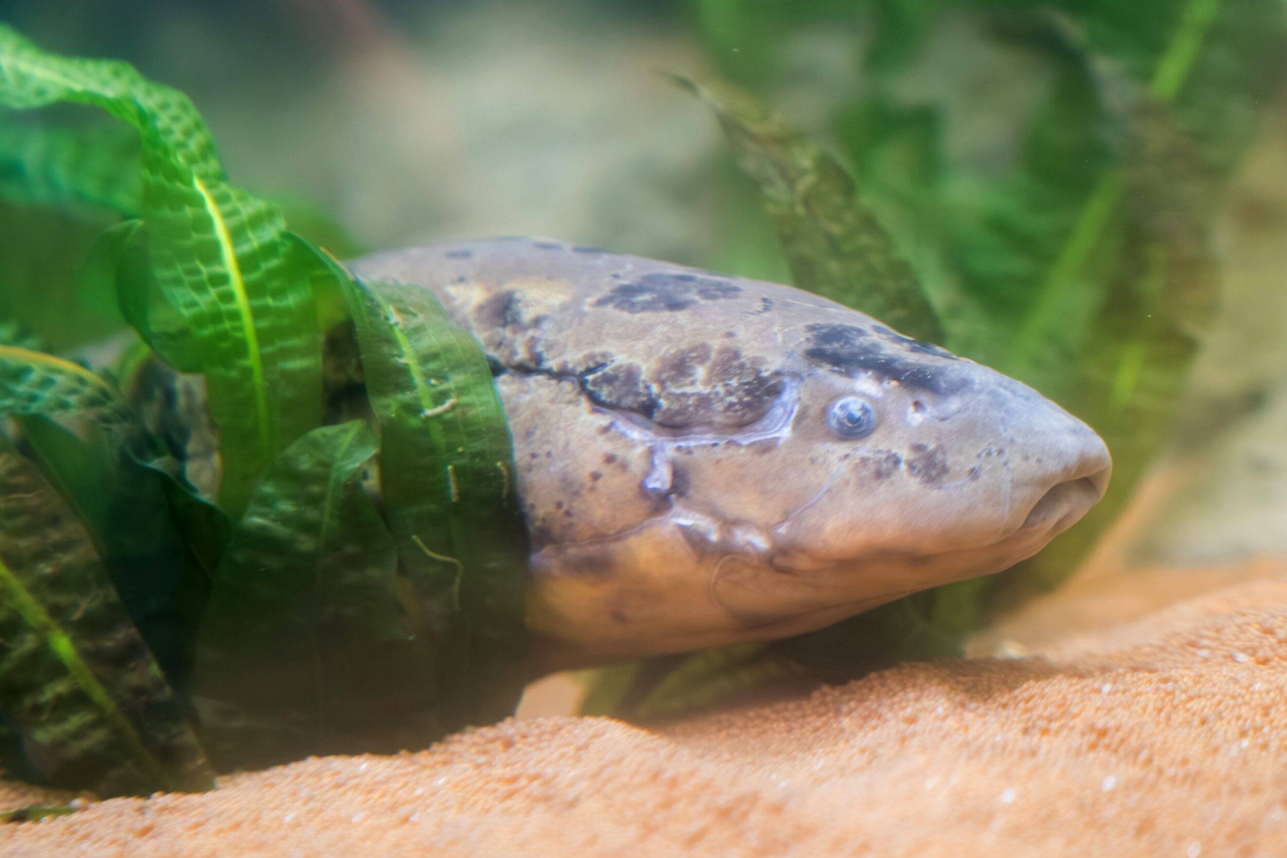 © Mulhouse Alsace Agglomération - m2A / Marie Nussbaumer