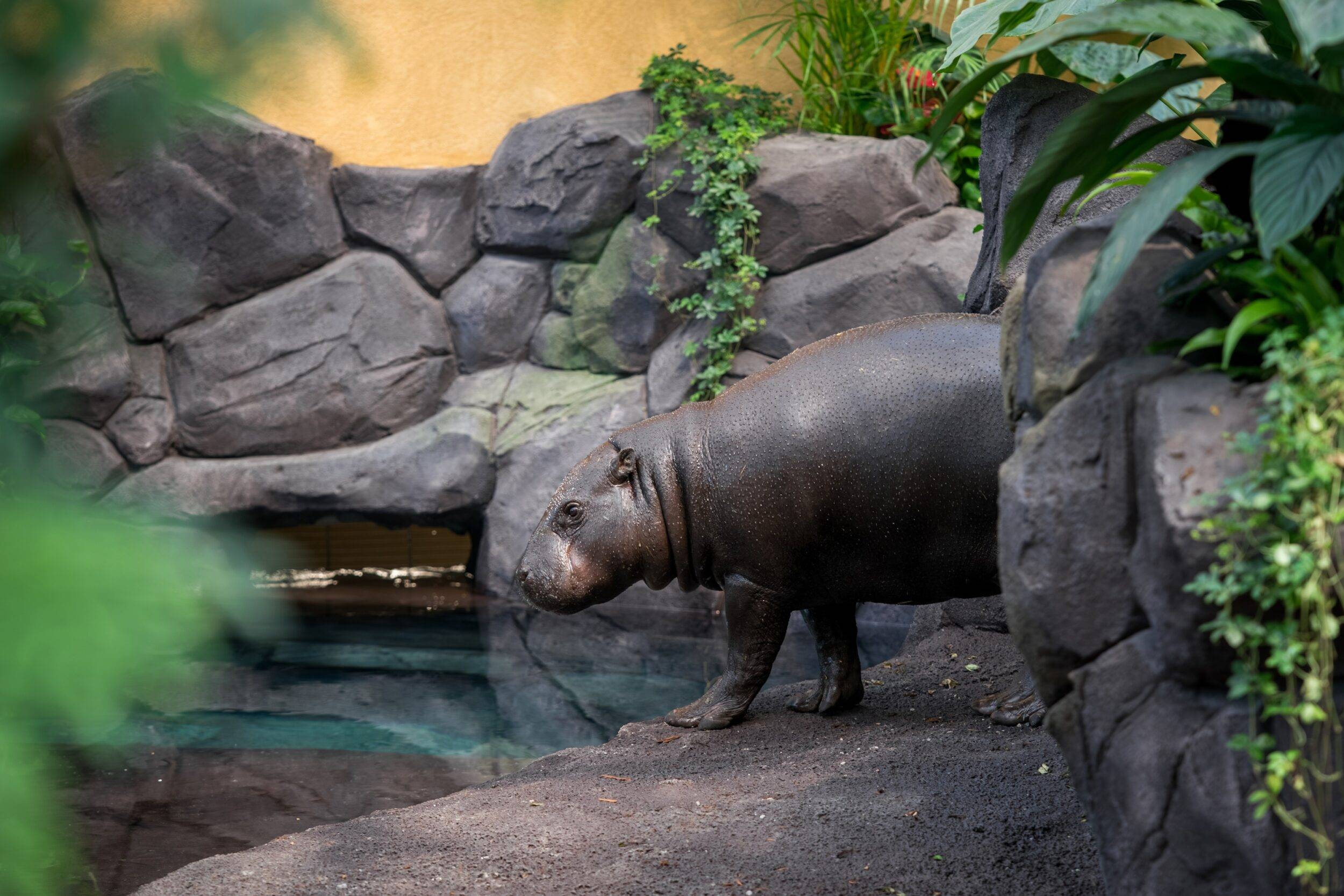 © Mulhouse Alsace Agglomération - m2A / Marie Nussbaumer