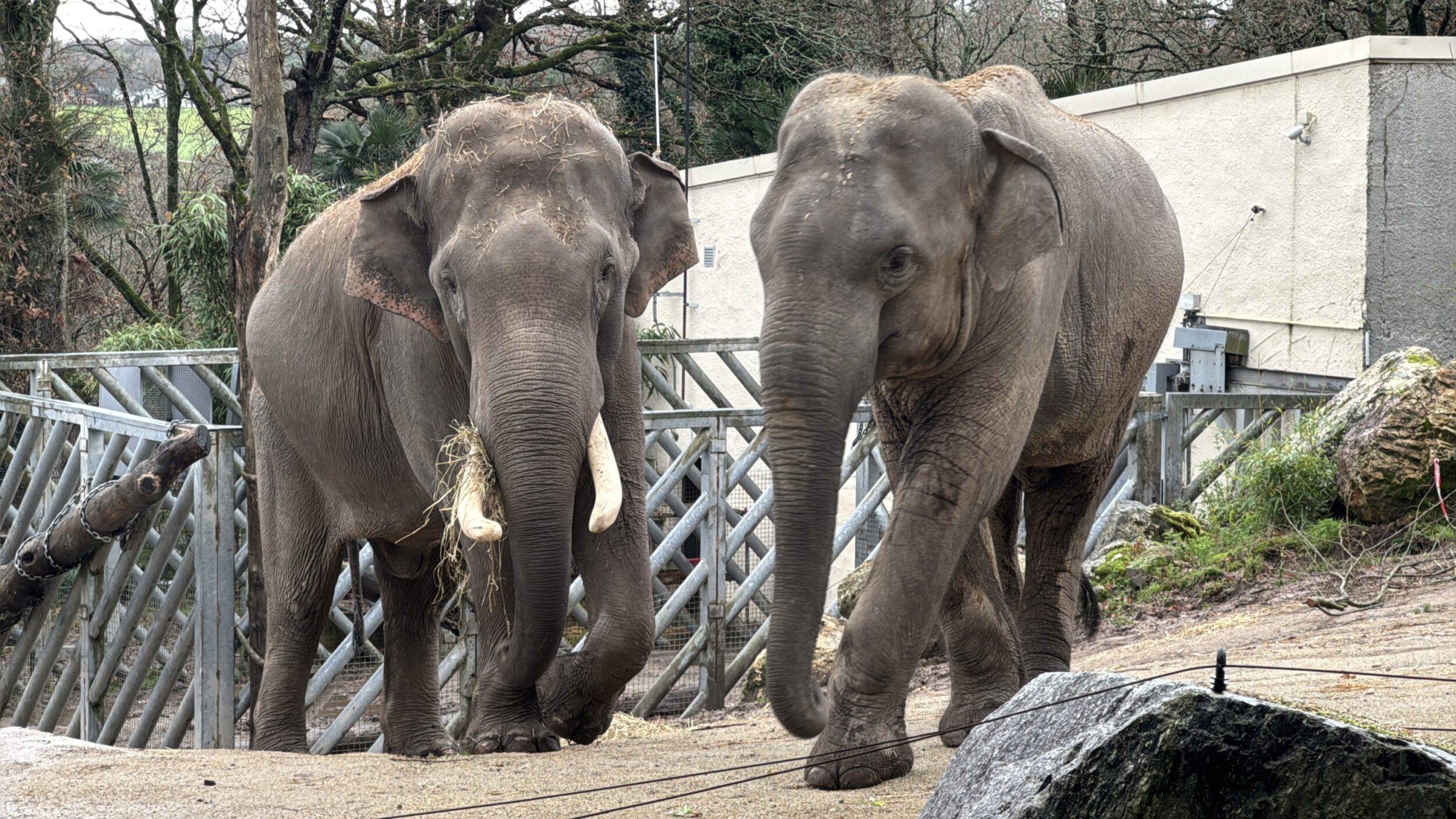 © Les Terres de Nataé