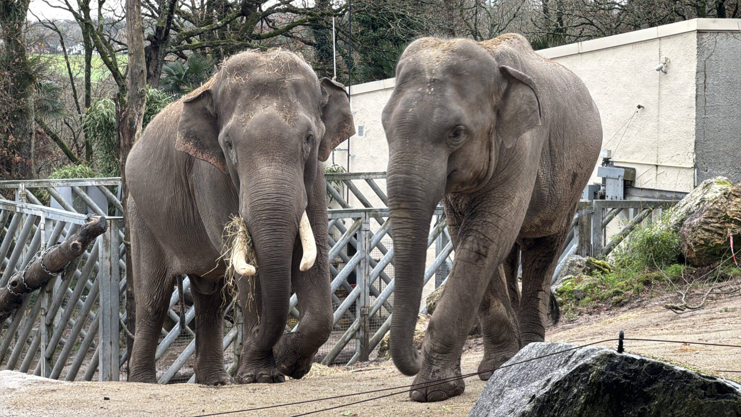 © Les Terres de Nataé