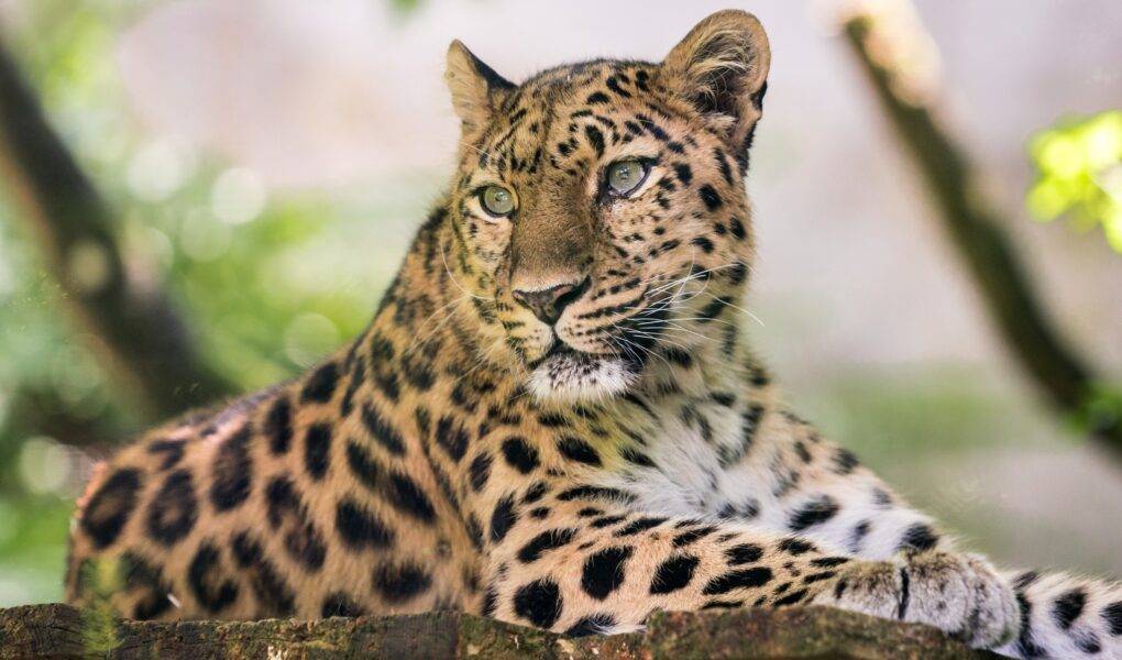 © Mulhouse Alsace Agglomération - m2A / Marie Nussbaumer