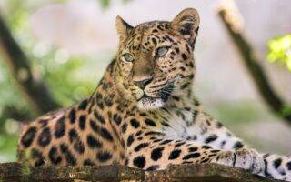 © Mulhouse Alsace Agglomération - m2A / Marie Nussbaumer