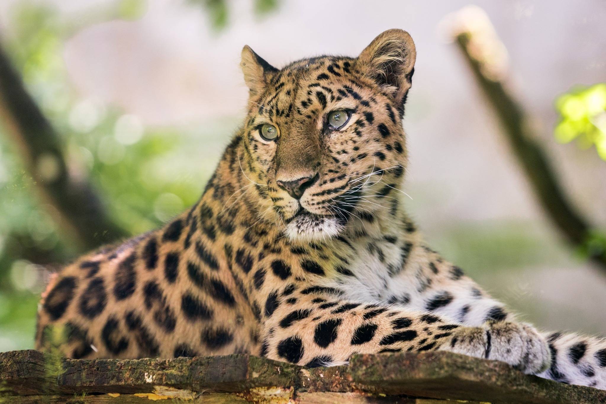 © Mulhouse Alsace Agglomération - m2A / Marie Nussbaumer