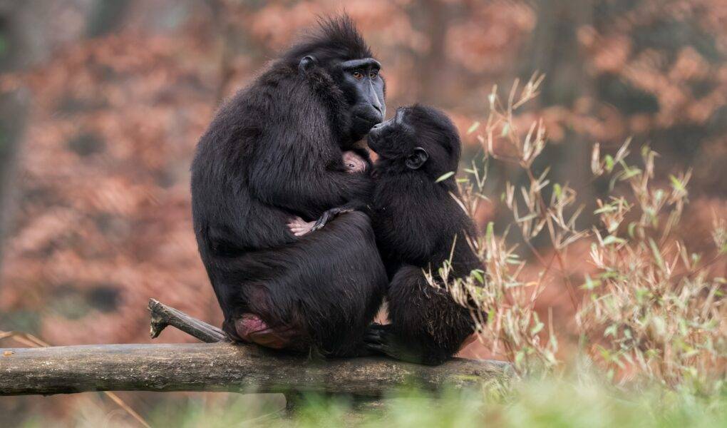 © Mulhouse Alsace Agglomération - m2A / Marie Nussbaumer