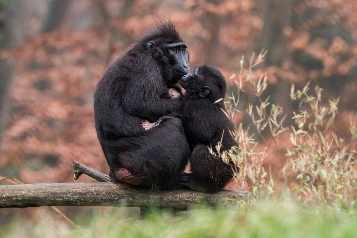 © Mulhouse Alsace Agglomération - m2A / Marie Nussbaumer