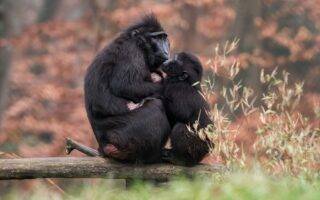 © Mulhouse Alsace Agglomération - m2A / Marie Nussbaumer