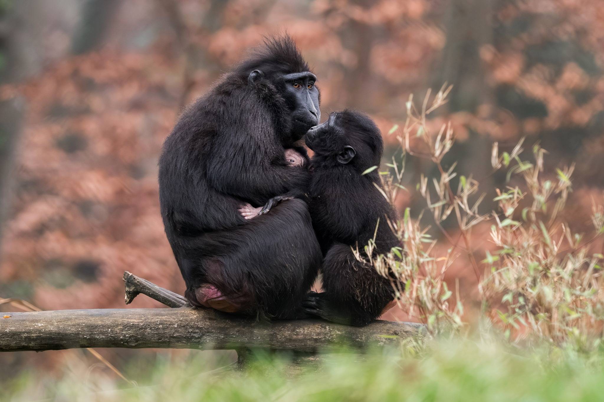 © Mulhouse Alsace Agglomération - m2A / Marie Nussbaumer